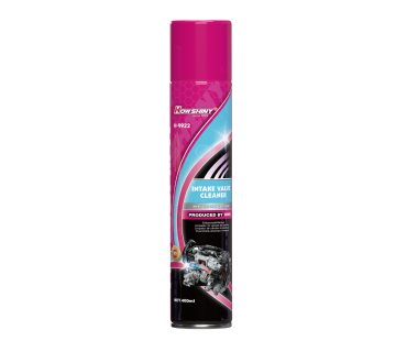 MOTORFLUSH